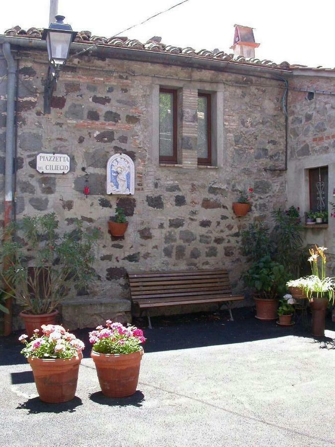 Holiday home Casa Del Ciliegio Radicofani